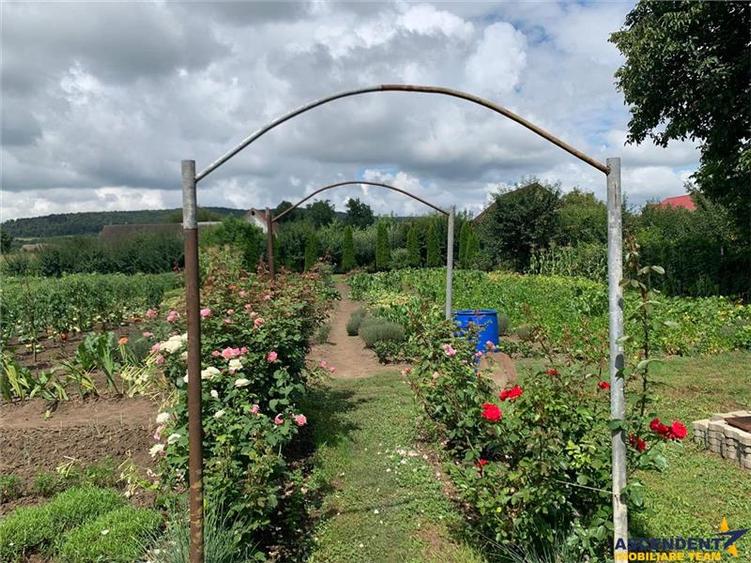 FILM!1.409 mp teren intravilan,livada, utilitati,locatie premium:rezidential/ co - 8