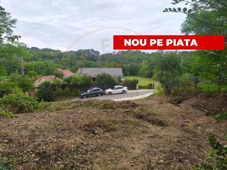 Teren 2552 mp Mosoaia Hintesti -Strada Basangesti - 1