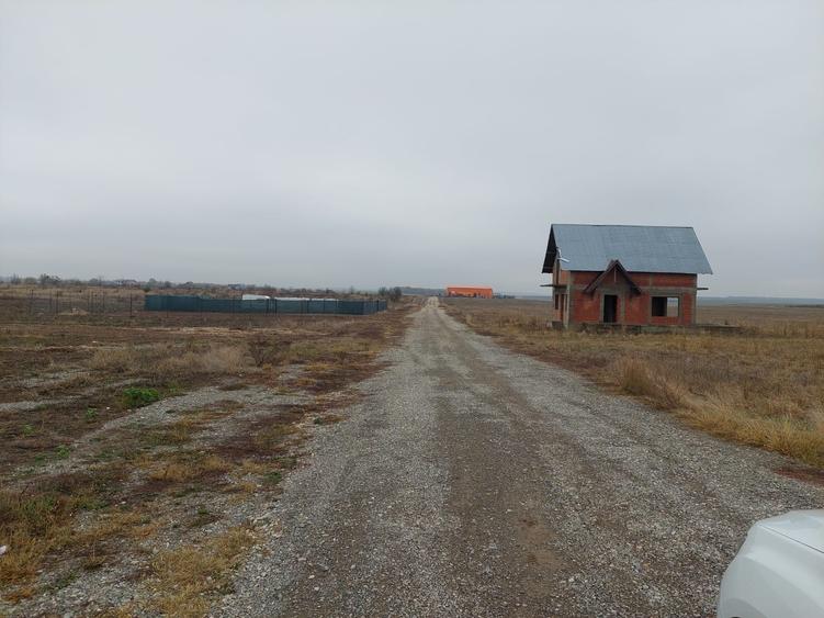 Teren Intravilan Letca Noua DN61 deschidere 235m - 5