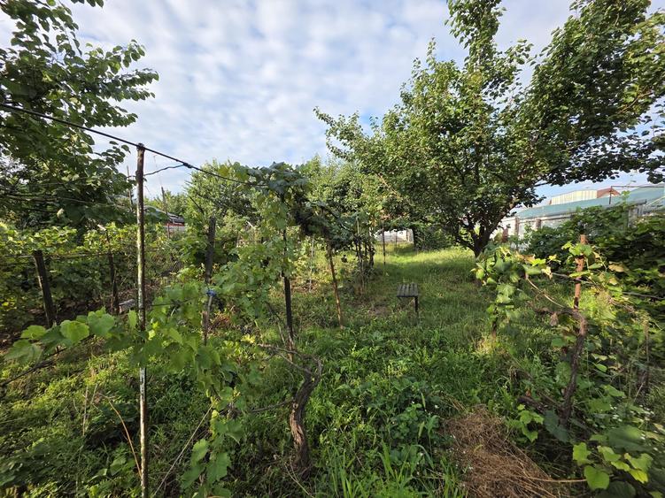 Casa caramida zona Puskin - 2