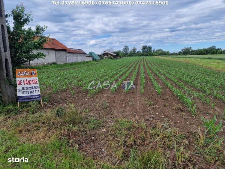 Teren de 7500 mp, în Bălești