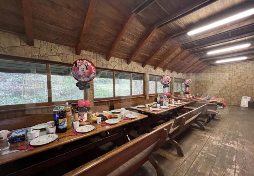 CABANA DACICA Refugiu premium la poalele Mun?ilor Dacici - 11