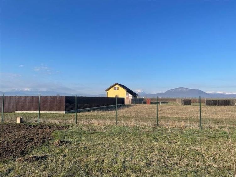 Vanzare terem pentru case Halchiu - 3