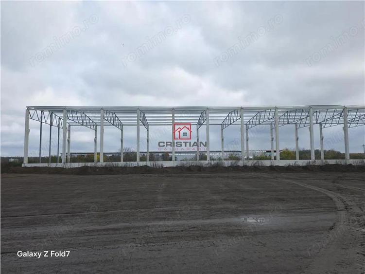 Vanzare depozit hala spatiu industrial Mogosoaia - Buftea - 4