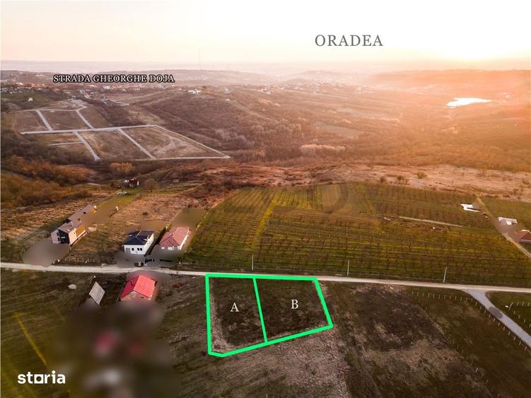 RECO Teren intravilan in Saldabagiu de Munte - 3