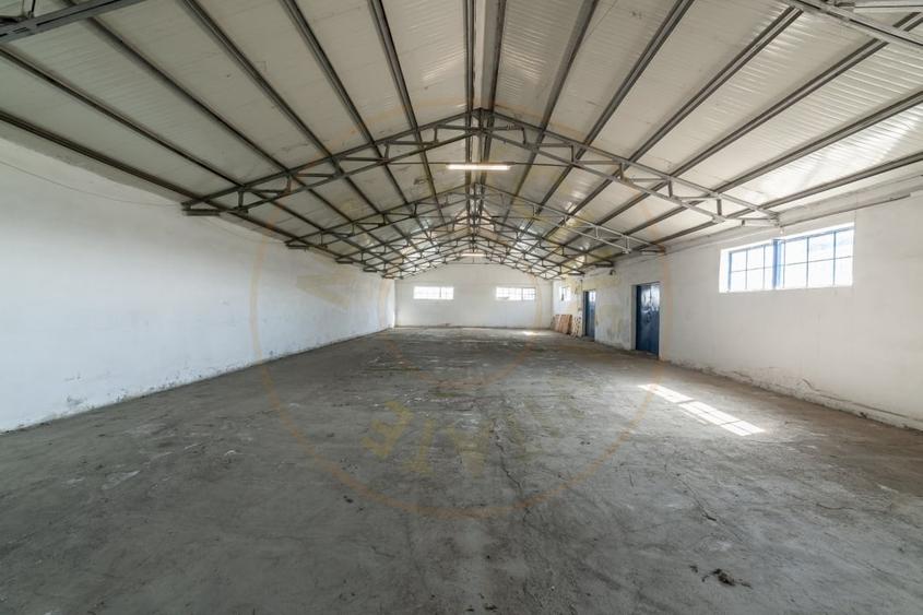 Hale & Birouri Mărăcineni - 1.294 mp - Deschidere la DN - 4