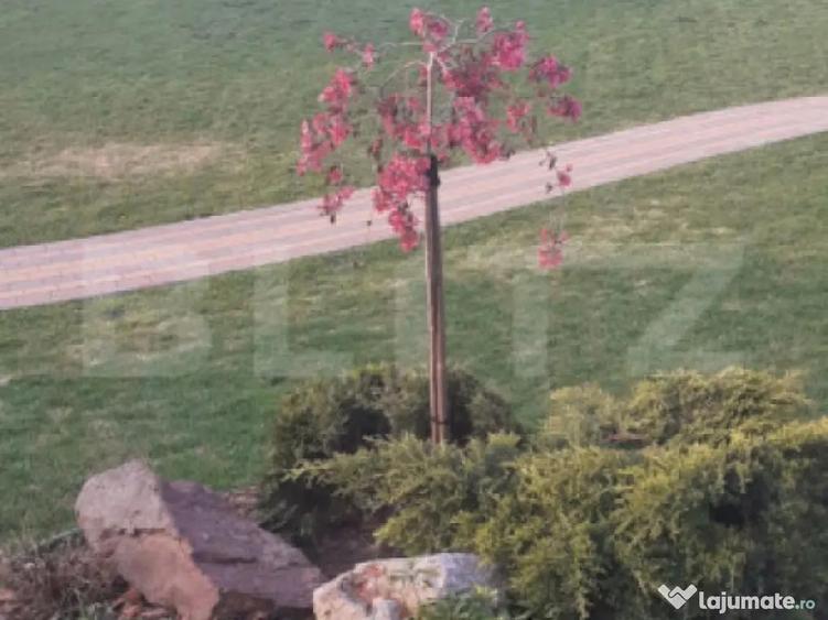 Casa/Vila 236 mp utili, 2743 mp teren, zona Mereni - Salcea - 8