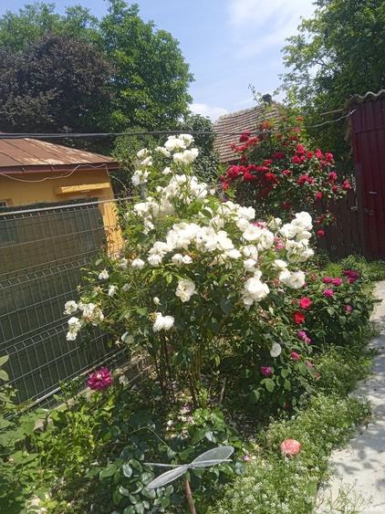 Casa cu etaj de vanzare - 2