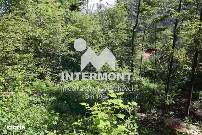 Teren Sinaia Zona Centrala, 500mp, Vedere Montana, Toate Utilitatile - 3