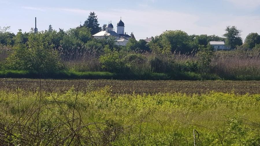 Ciolpani- Drumul Piscului patru loturi teren de la 896 mp pana la 977 mp - 1