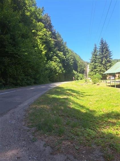 RECO Apartament cu doua camere in Padurea Neagra - 3