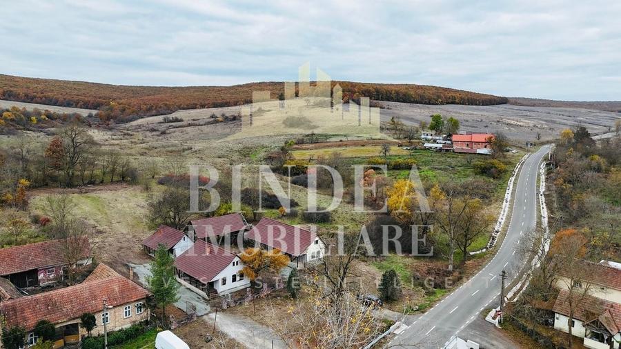 Oportunitate investitie: două reședințe de vacanță/ cabane 3940mp teren - 14