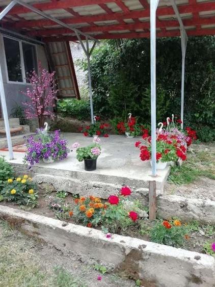 Vand casa cu gradina in bontida 2camere hol bucatarie baie terasa,internet,supraveghere video,Banfy - 6