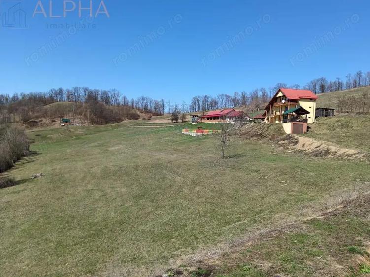 Pensiune cu Poten?ial in Stramba + 32 ari teren - 2