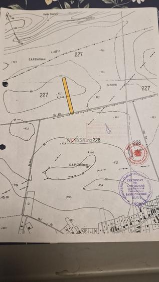 Teren extravilan | Tâncăbești | 5000mp - 2