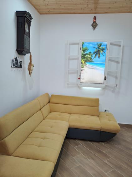 Imobil format din 2 corpuri individuale,un singur proprietar, zona Iancului - 14