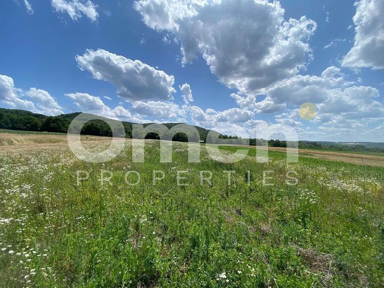 Teren de vanzare in Coas, zona linistita - 4