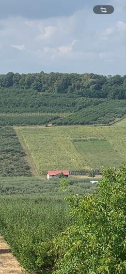 Vand teren extravilan - 2