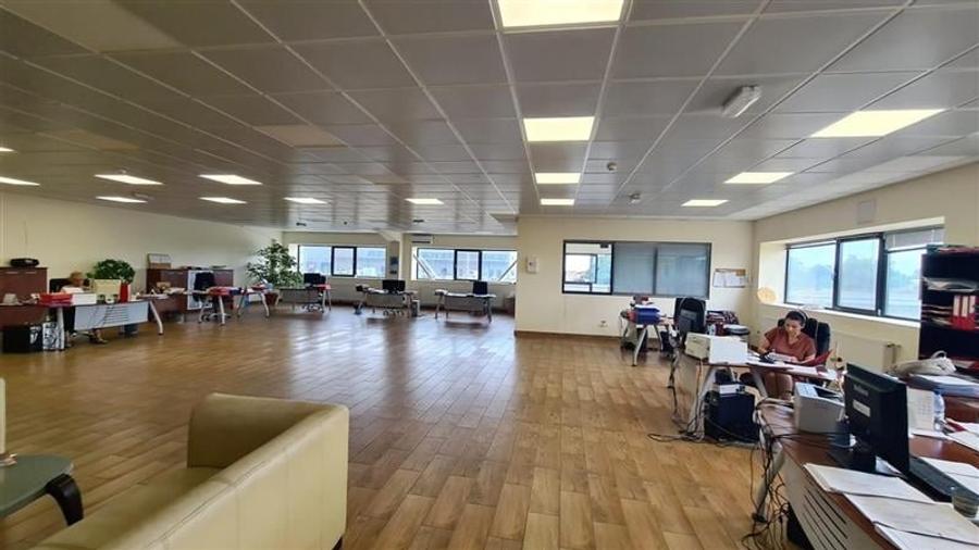 Hala industriala Timisoara -  Exterior Nord ! - 7