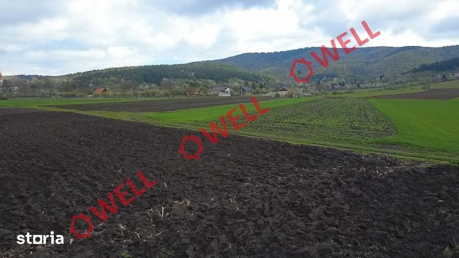 Teren de 5000 mp, în Ozun