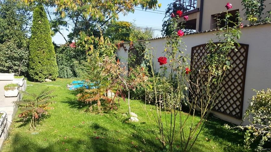 Drumul Negru - Pipera, vila P+1E, locatie linistita - 4