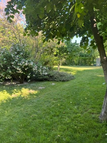 Bragadiru Mugurelui Vila solida constr 2005 + piscina + teren 2000 mp - 6