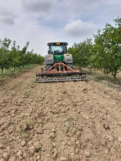 Vanzare plantatie/ferma de nuci, 2000 pomi, 14ha, Prahova - 1