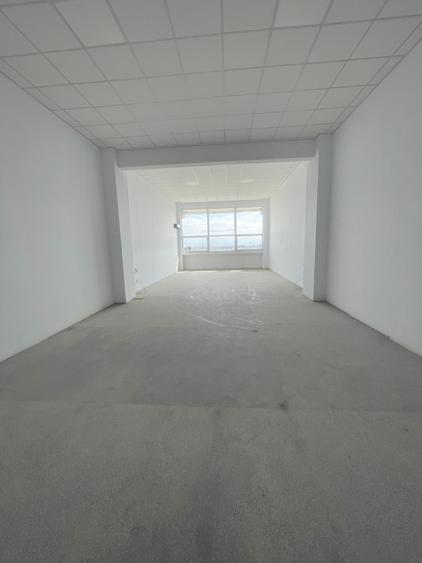 Hala Depozitare / Productie - Theodor Pallady - 1