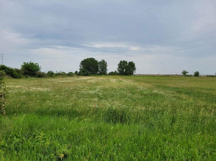 Casa in Calinesti Ph 4 camere teren 4997mp 50.000e - 2