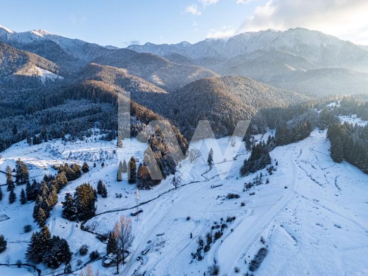 Teren pentru turism / complex vile la intrare in CANIONUL ȘAPTE SCĂRI - 6