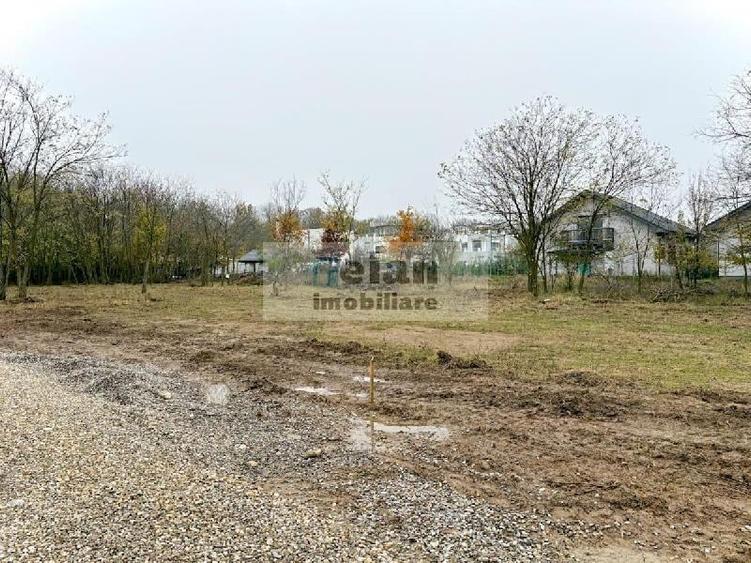 Snagov Ciofliceni - Teren 716 mp, d 30 m, gaz, curent, asfalt, padure - 3