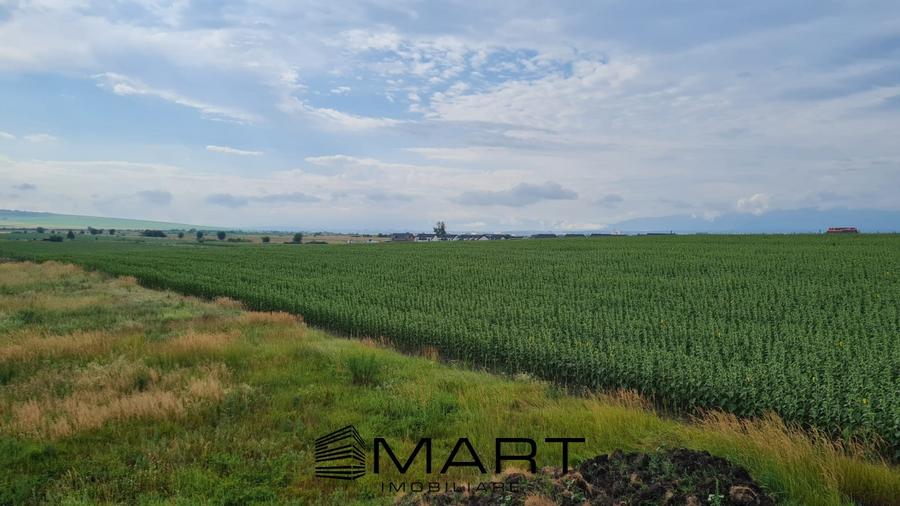 Casa individuala 120mp cu teren 486mp Sura Mica - 6