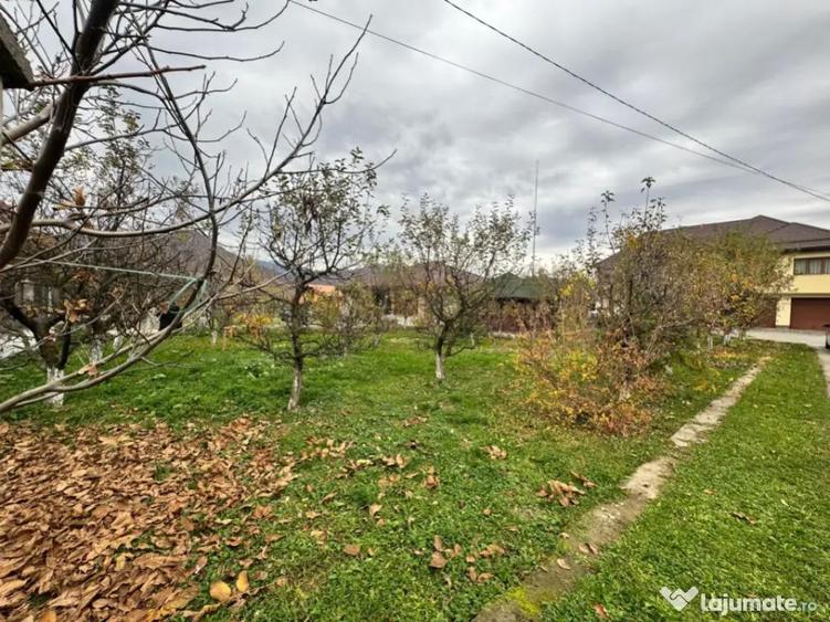 CASA DE VIS SAU AFACERE DE SUCCES BAIA SPRIE - 4