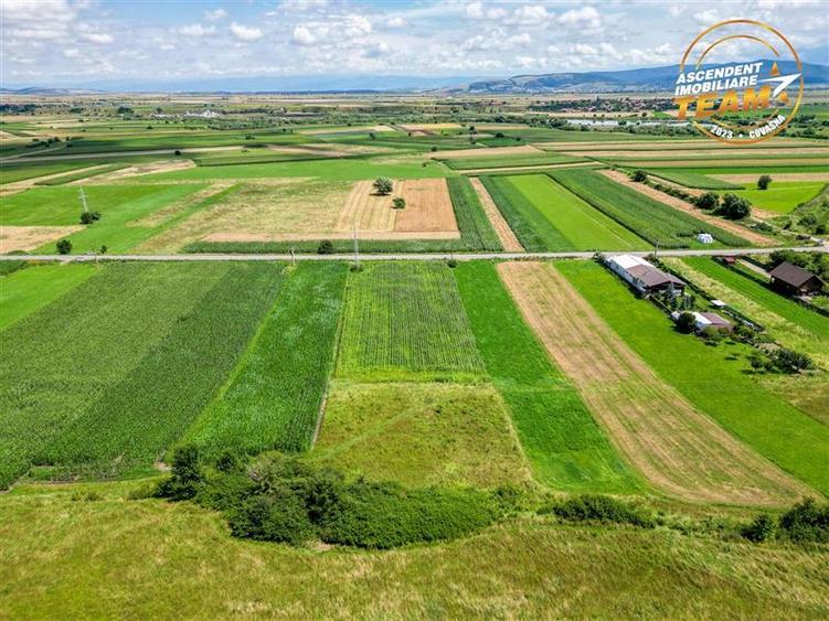 Teren Construcții extravilan de 7400 mp, în Sâncraiu