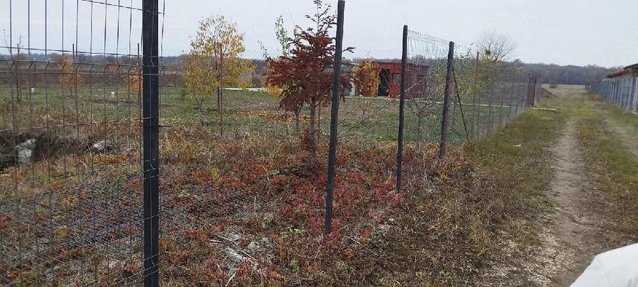 Teren de 400 mp, în Dumitrana