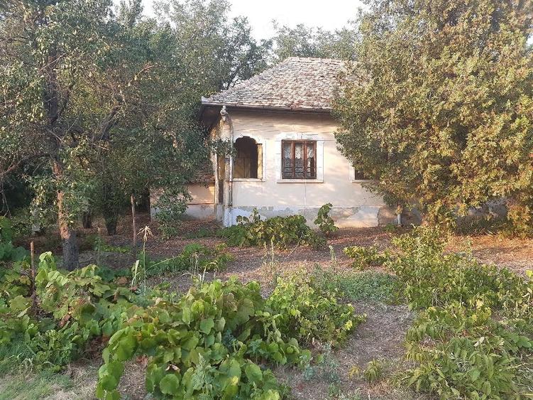 Teren de 7200 mp, în Giubega