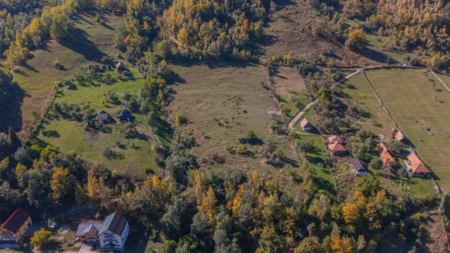Teren Construcții intravilan de 16804 mp, în Șimon