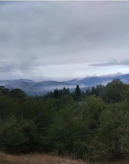Teren de 17000 mp, în Nucșoara