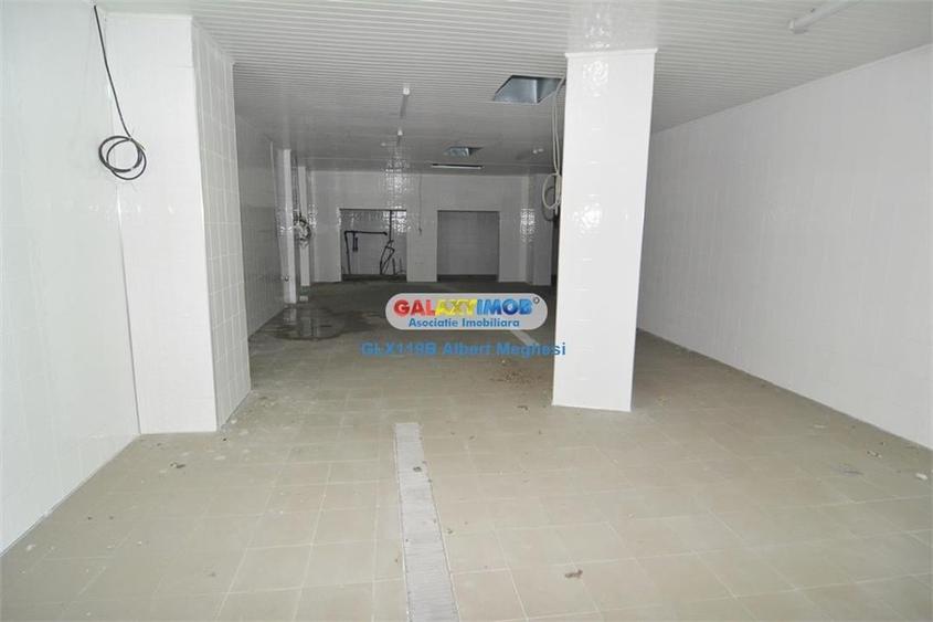 Inchiriere vanzare spatiu productie alimentara P-ta Delfinului - 11