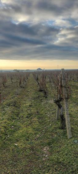 Teren en Slobozia Bradului de 12.600 mp intravilan,intabulat - 1