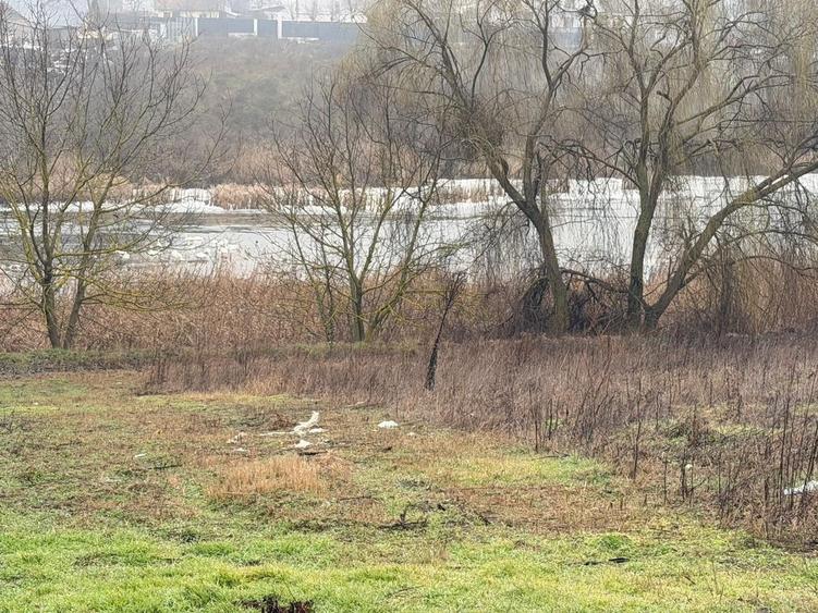 Teren cu deschidere la lac | 50 m Padure | 1000 MP - 9