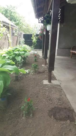 Casa de vanzare, Cetate Dolj , Zona Centrala( langa targ) , La cheie - 5