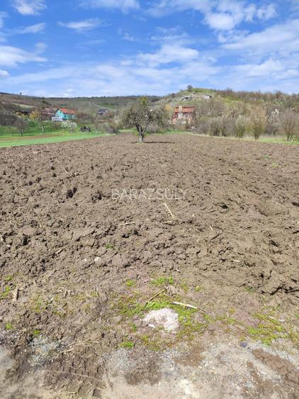 Teren intravilan pentru vânzare, in Vlaha,jud.Cluj Preț de vânzare: 60 000 eur Teren intravilan pentru vânzare, in Vlaha,jud.Cluj Preț de vânzare: 60 000 eur