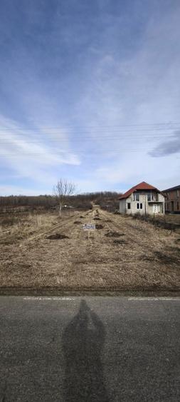 Teren 2.366 mp Zervesti drum principal spre Muntele Mic - 7