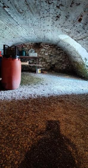Casa si gospodarie tip sasesc in Bod langa Scoala si Primarie - 14
