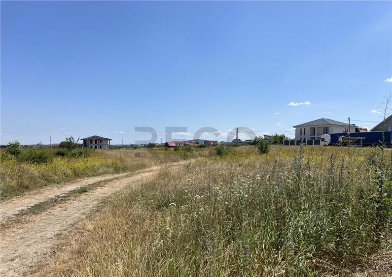 RECO IMOBILIARE,TEREN Cihei - 6