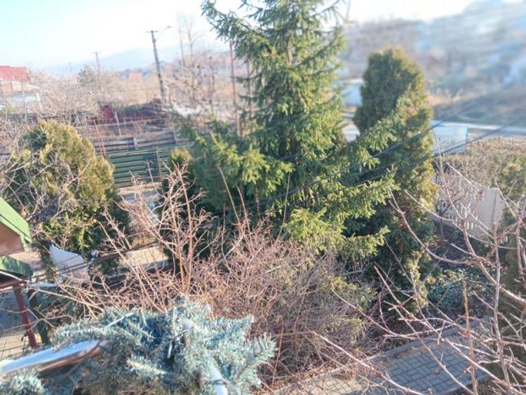 Tomesti deal la DE Iasi-Albita casa 118 mp si pensiune 530 mp - 9