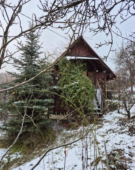 Coas, cabana, 28 ari teren - 5