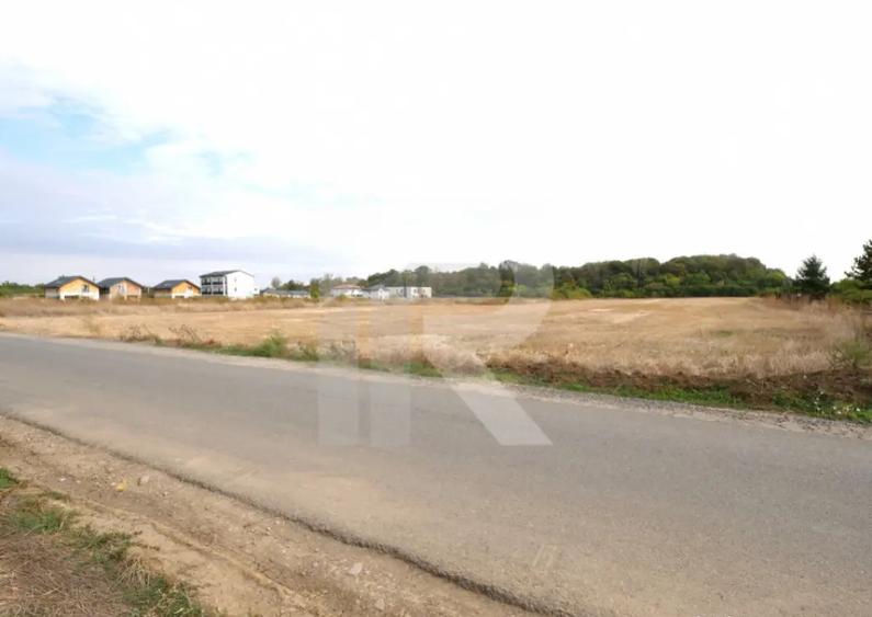 LOTURI PENTRU CASA - 420mp + 89mp drum - Otopeni, Ilfov - IN - 7