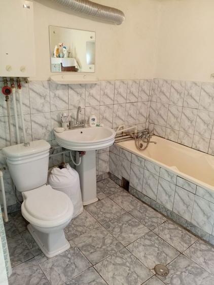 Vand Casa cu anexe si 2400 m/p Boureni, Dolj - 7